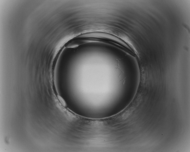 X0000099461088200805161041