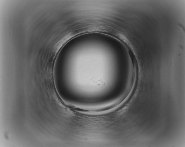 X0000099461089200805161041