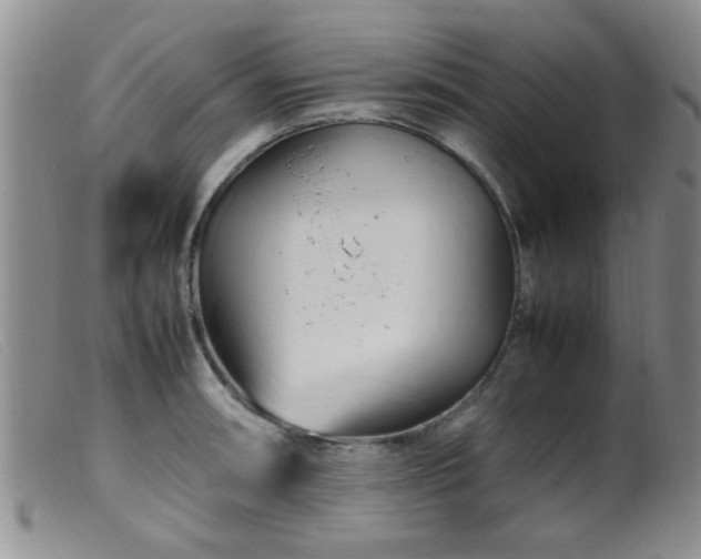 X0000099461090200805161041