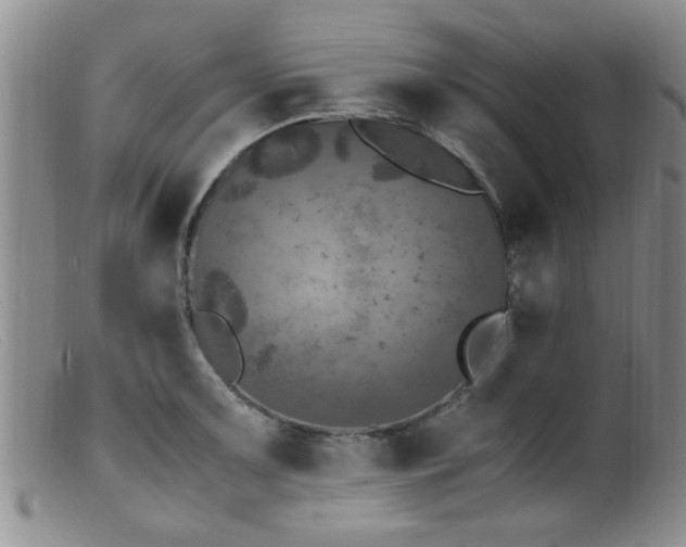 X0000099461091200805161041