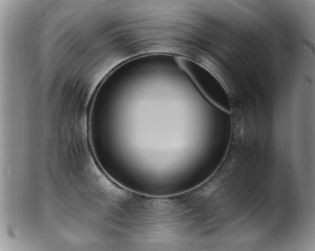 X0000099461092200805161041