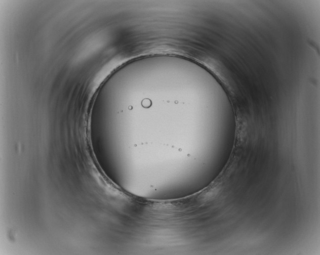 X0000099461094200805161041