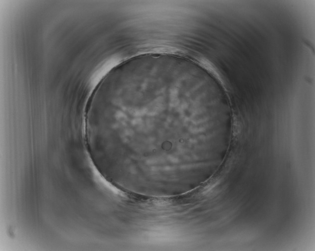 X0000099461095200805161041