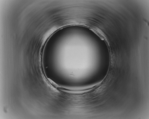 X0000099461096200805161041