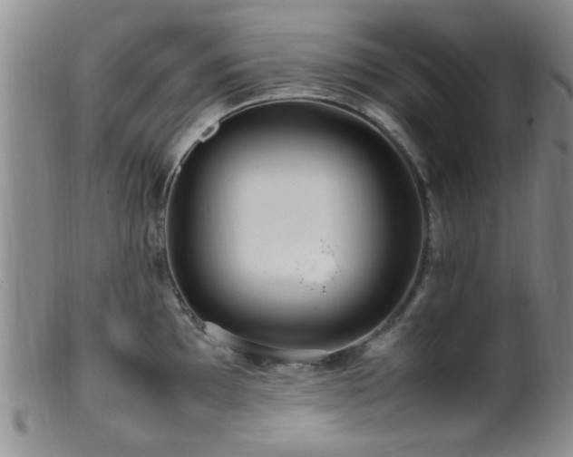 X0000099461097200805161041