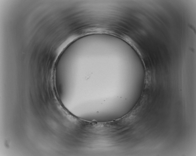 X0000099461098200805161041