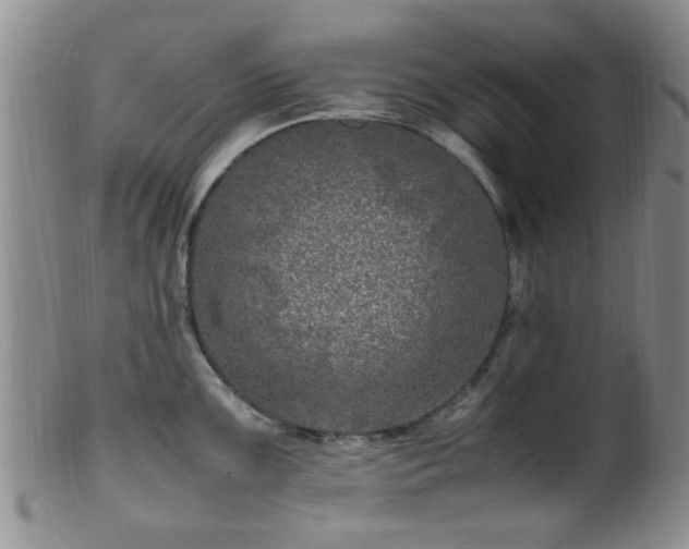 X0000099461099200805161041