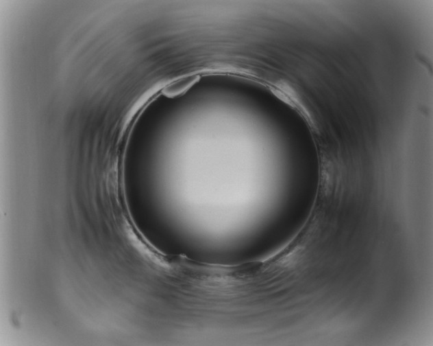 X0000099461100200805161041