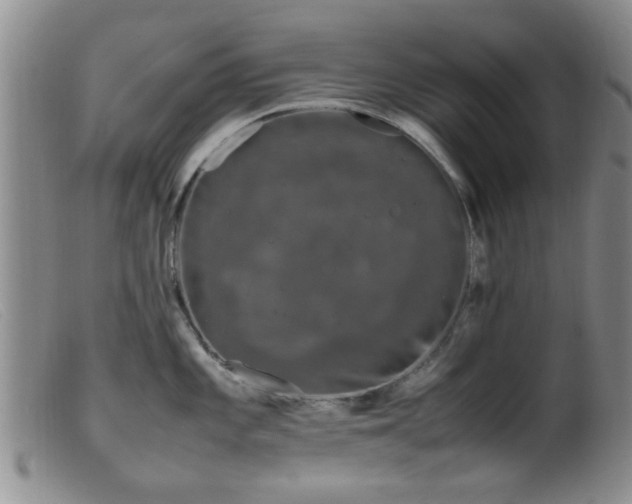 X0000099461101200805161041