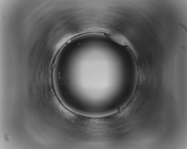 X0000099461102200805161040