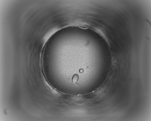 X0000099461103200805161040