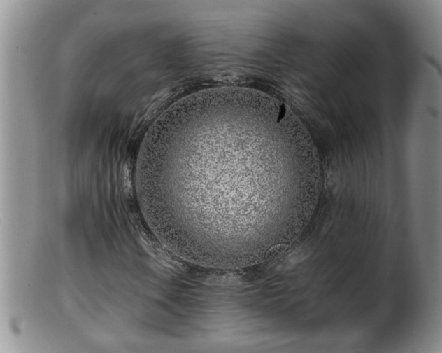 X0000099461106200805161040