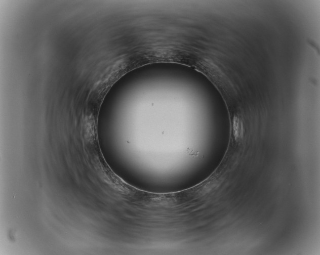 X0000099461107200805161040