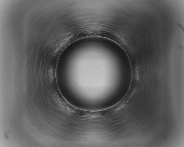 X0000099461108200805161040