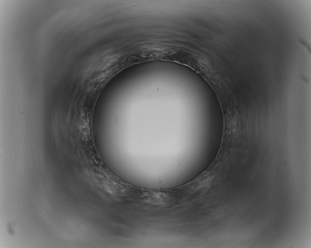 X0000099461109200805161040