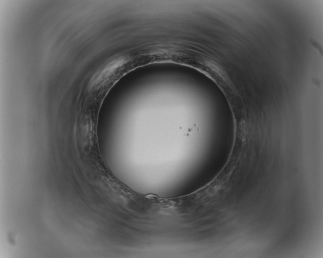 X0000099461111200805161040