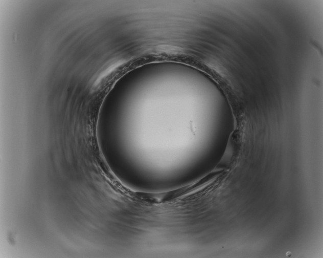 X0000099461112200805161040