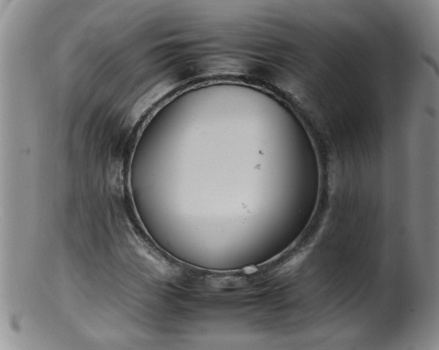 X0000099461113200805161040