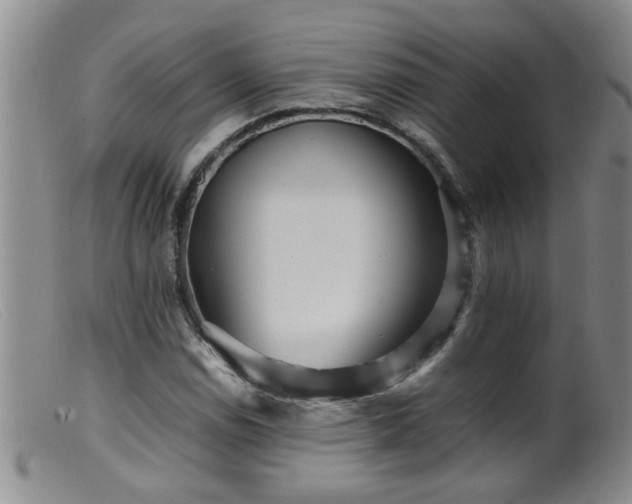 X0000099461114200805161040