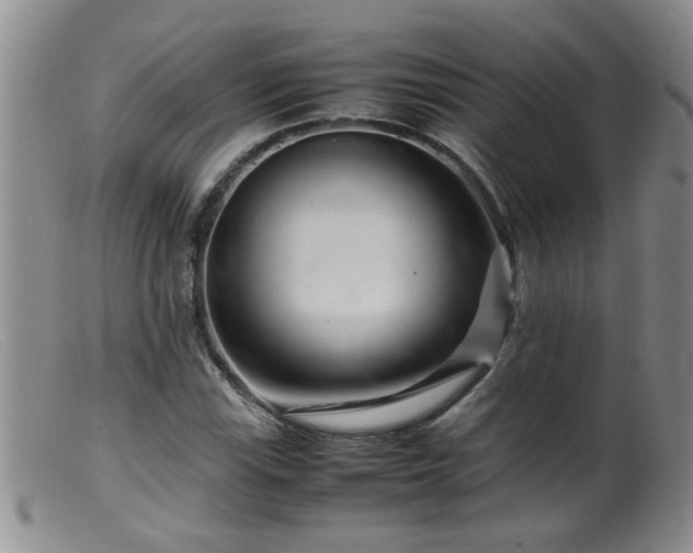 X0000099461115200805161040