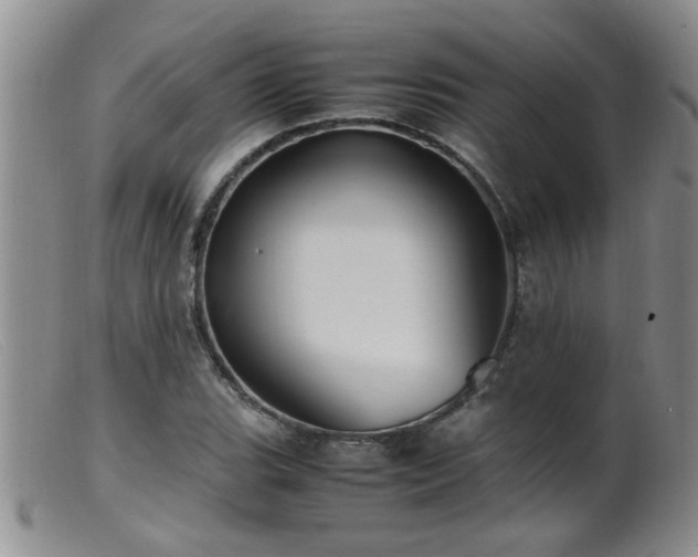 X0000099461119200805161040