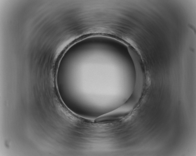 X0000099461120200805161040