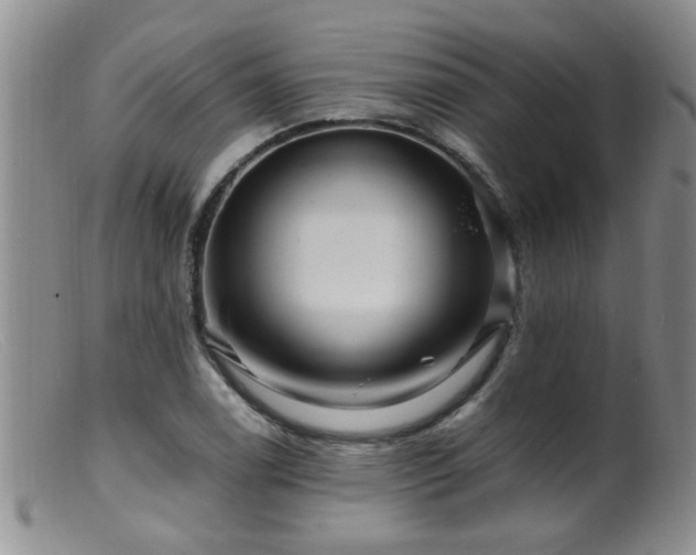 X0000099461122200805161040