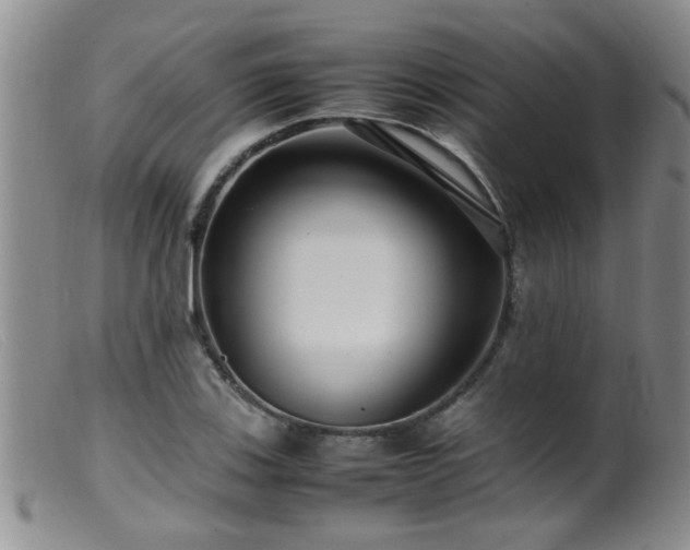 X0000099461123200805161040