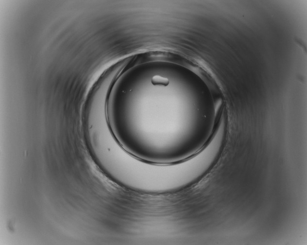 X0000099461124200805161040