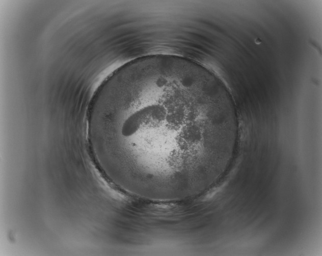 X0000099461125200805161040