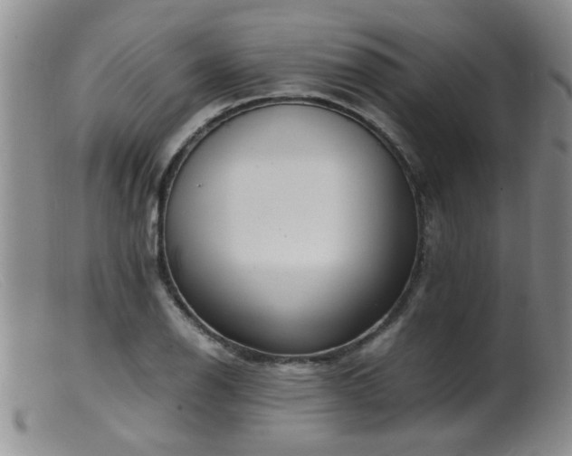 X0000099461126200805161040