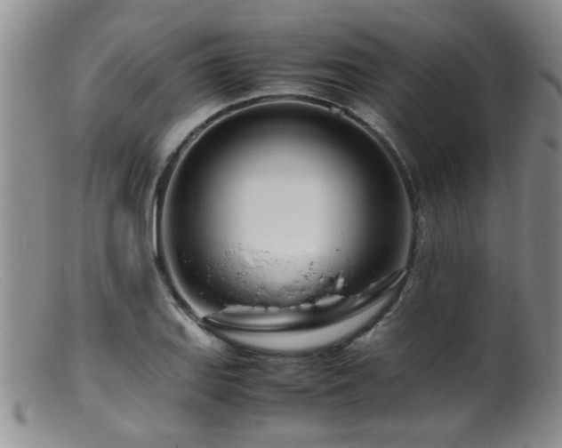 X0000099461127200805161040