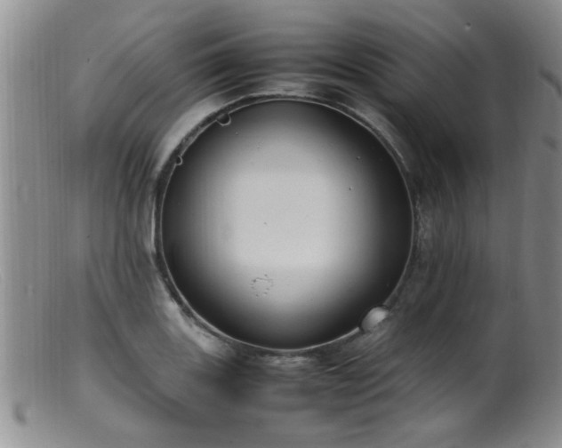 X0000099461131200805161040