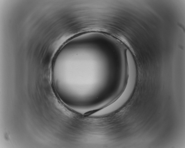 X0000099461132200805161040