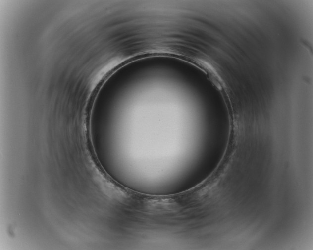 X0000099461133200805161040