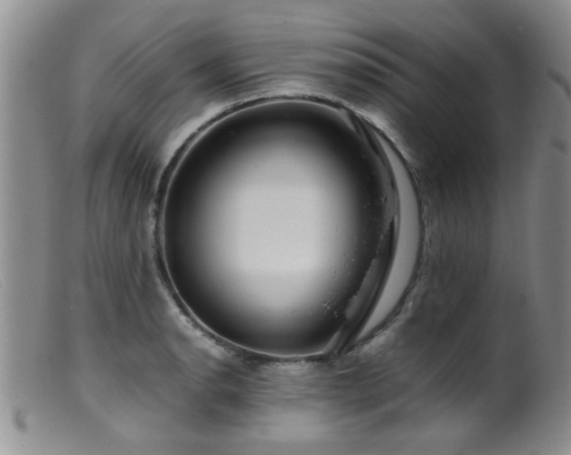 X0000099461134200805161040