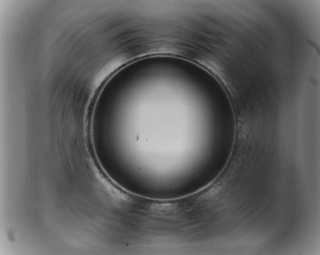 X0000099461135200805161040