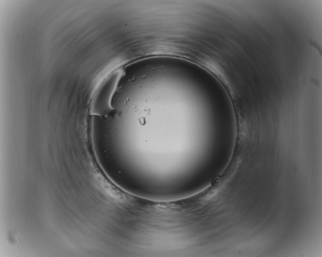 X0000099461138200805161040