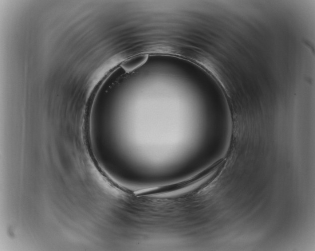 X0000099461139200805161040