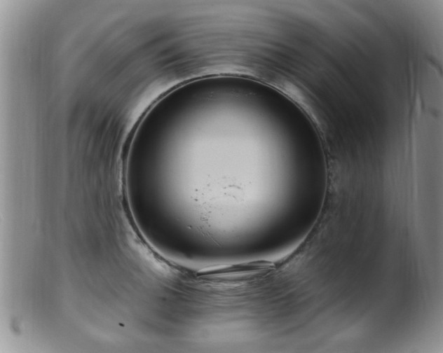 X0000099461140200805161040