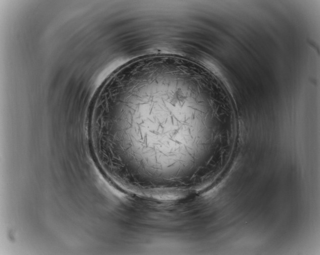 X0000099461141200805161040