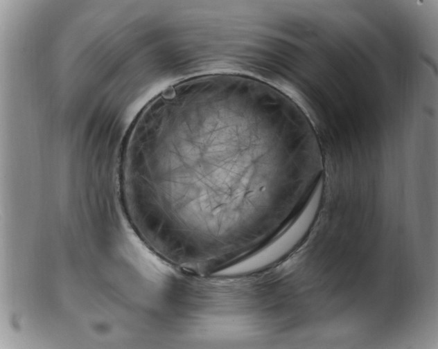 X0000099461142200805161040
