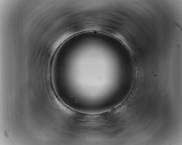 X0000099461143200805161040