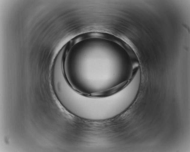 X0000099461144200805161040