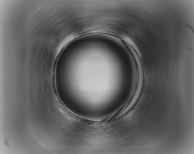 X0000099461146200805161040