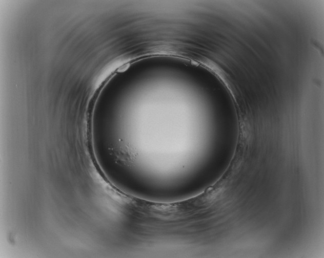 X0000099461147200805161040