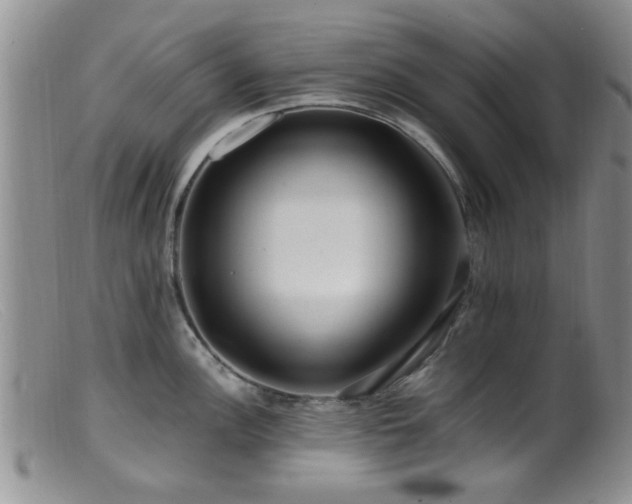 X0000099461148200805161040