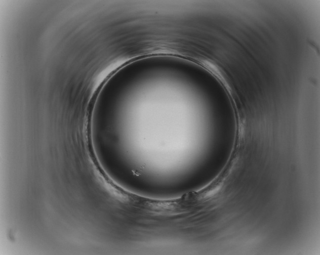 X0000099461149200805161040