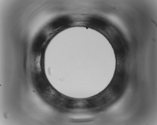 X0000099461150200805161040