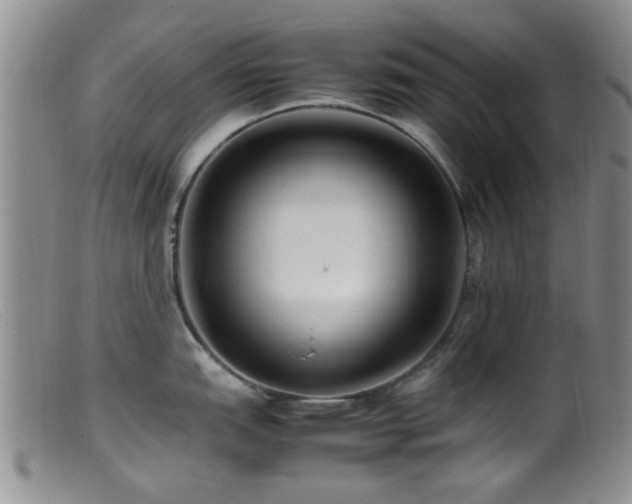 X0000099461151200805161040